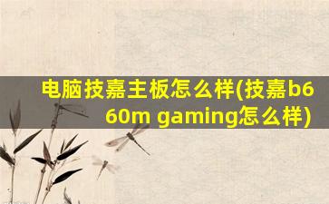 电脑技嘉主板怎么样(技嘉b660m gaming怎么样)